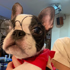 Y thumbnail