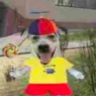 grffnpnchr thumbnail