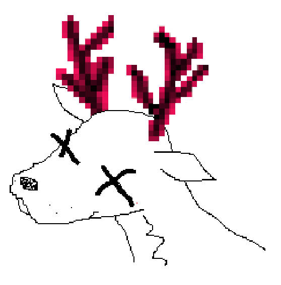 Music | deers
