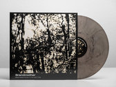 Merch | Bees Made Honey in the Vein Tree