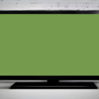 fred1234 thumbnail