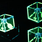 luvenamus thumbnail