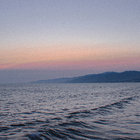 norwegianblues thumbnail