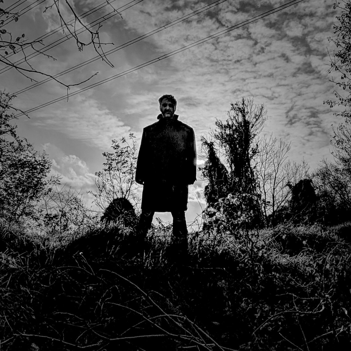 die-hexe-digital-single-fallaness