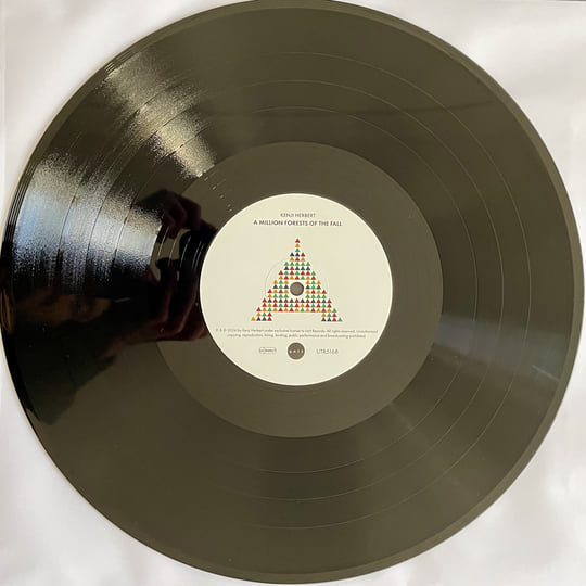 MINERAL The Power of Falling カラー アナログ盤 Mineral – The Power