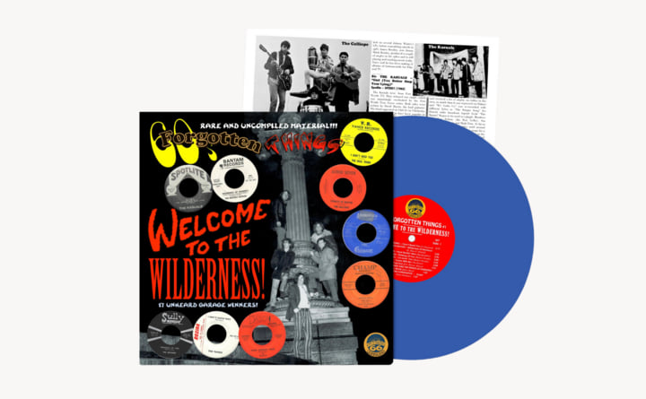 Various - 60's Forgotten Things - Welcome To The Wilderness