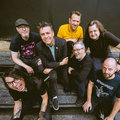 Mustard Plug photo