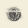 HawkBit image