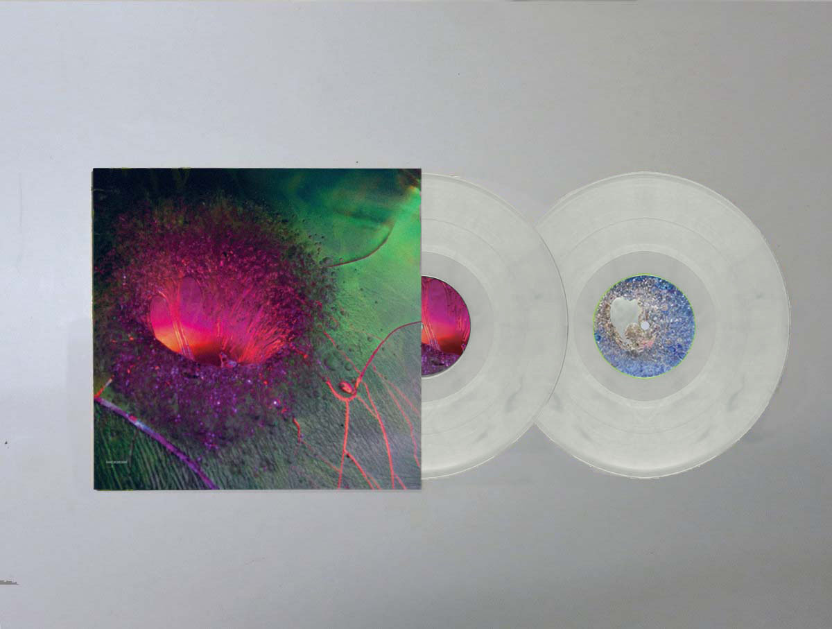 t | SHXCXCHCXSH | Northern Electronics