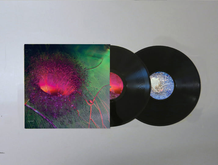 ⁎⁺˳✧༚♡shenashopp♡˚✧₊ t | SHXCXCHCXSH | Northern Electronics