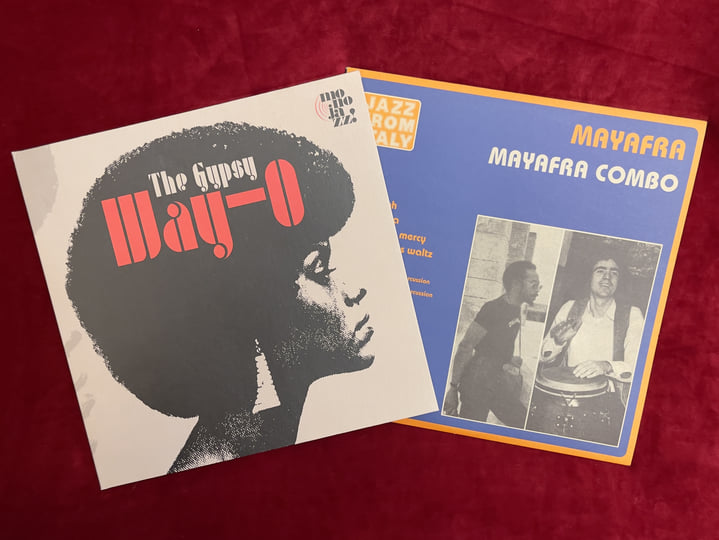 Mayafra Combo - Mayafra (Theoプレイ！) Mayafra | Mayafra Combo | Right Tempo / Mono Jazz / Easy Tempo
