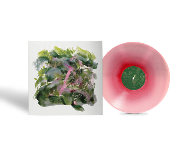 Forest Scenes | MIZU