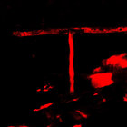 Antipodean Anomalies | Various Artists | Left Ear Records