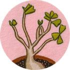 Seasonal Work thumbnail