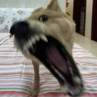  r̷̛̩̗̗͐͗ë̴̢̹͈́s̸̨͓̔̄ü̷̳̋̒m̴̱̆a̵̠̤͝ thumbnail