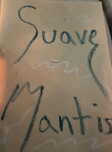 Suave Mantis
