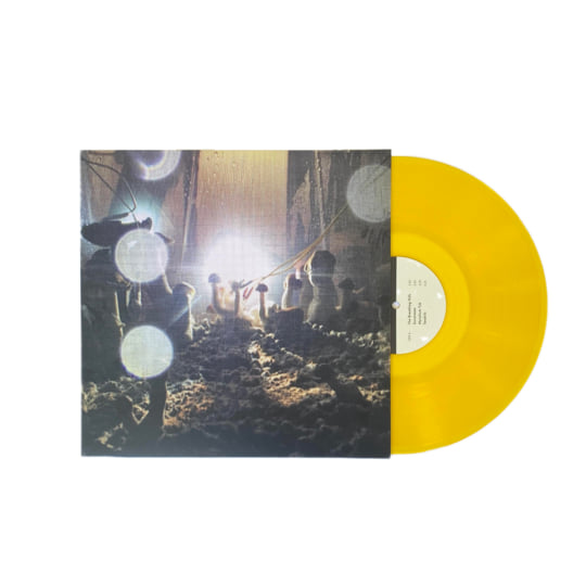 Plant Music Vol.3 - The Golden Teachers | Nico Georis