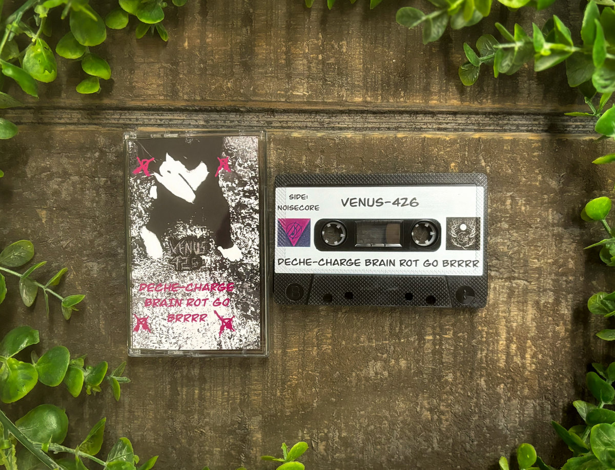 Deche-Charge Brain Rot Go Brrrr | VENUS-426 | Fiadh Productions