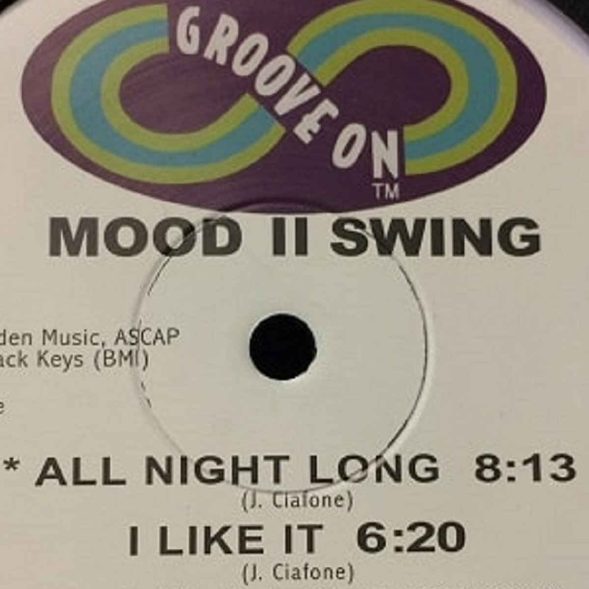 Do It Your Way – Mood II Swing REPRESS *VINYL ONLY* | DNR Vinyl