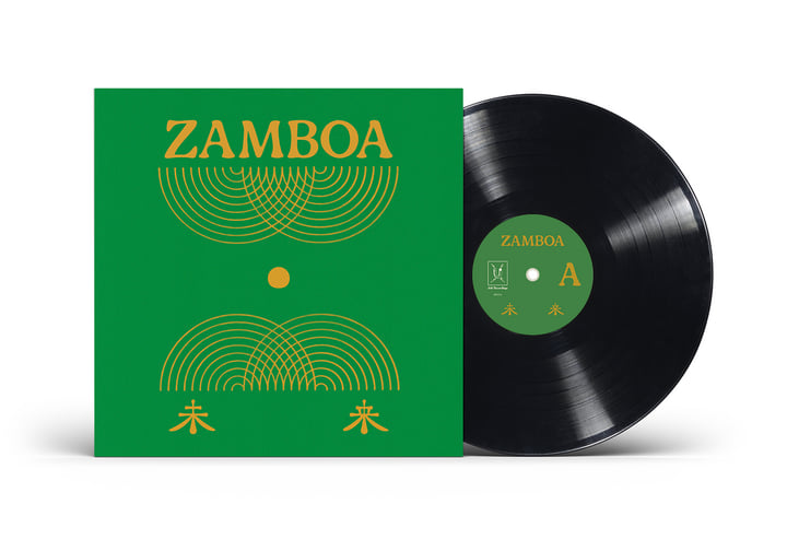 未使用品 難あり レコード　Jazzy Folklore 10th anniv. 未来 | Zamboa