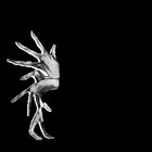 mike sloane thumbnail