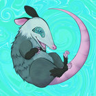 DeadPossum thumbnail