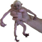 beanbytt thumbnail