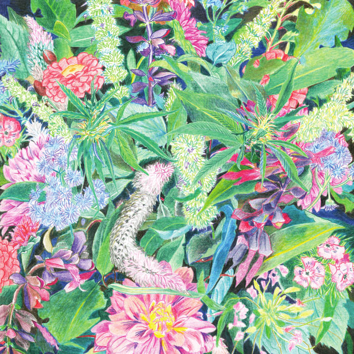 Album art