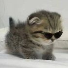 Mircooo))) thumbnail