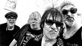 Fuzz Attack — Photo