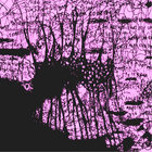 mxn_336 thumbnail