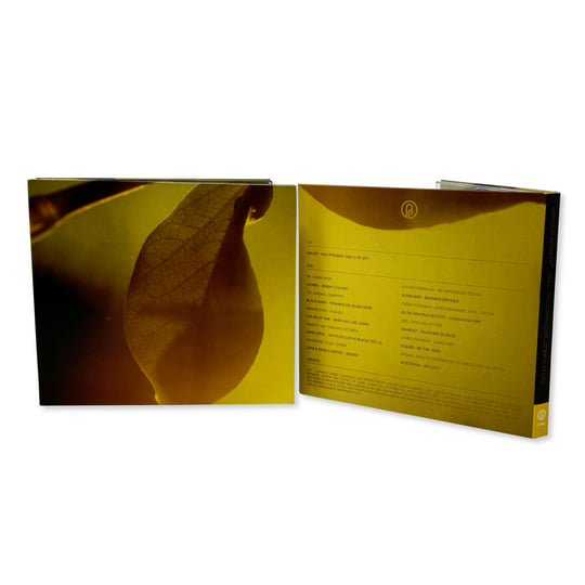 Past/Present 2024 Compilation | Various Artists | Past Inside the