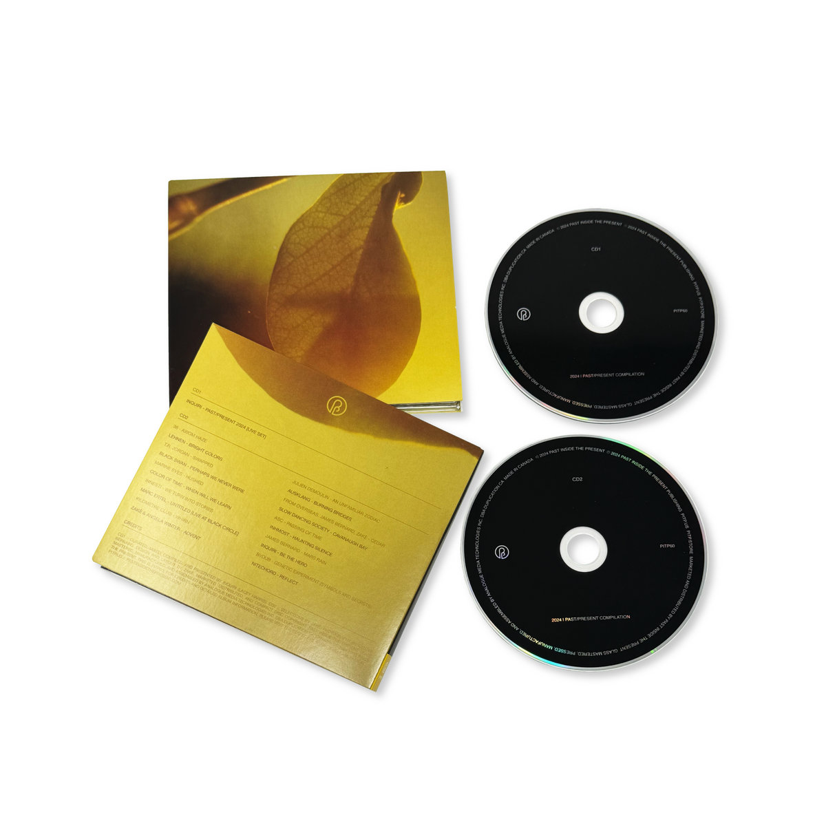 Past/Present 2024 Compilation | Various Artists | Past Inside the