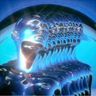 SPIN thumbnail