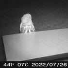 vvinimal thumbnail