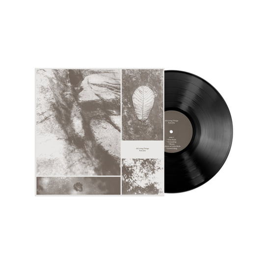 韓国 natural Life saving Scratch 18枚 1500円 韓国 natural Life saving Scratch 18枚 1500円