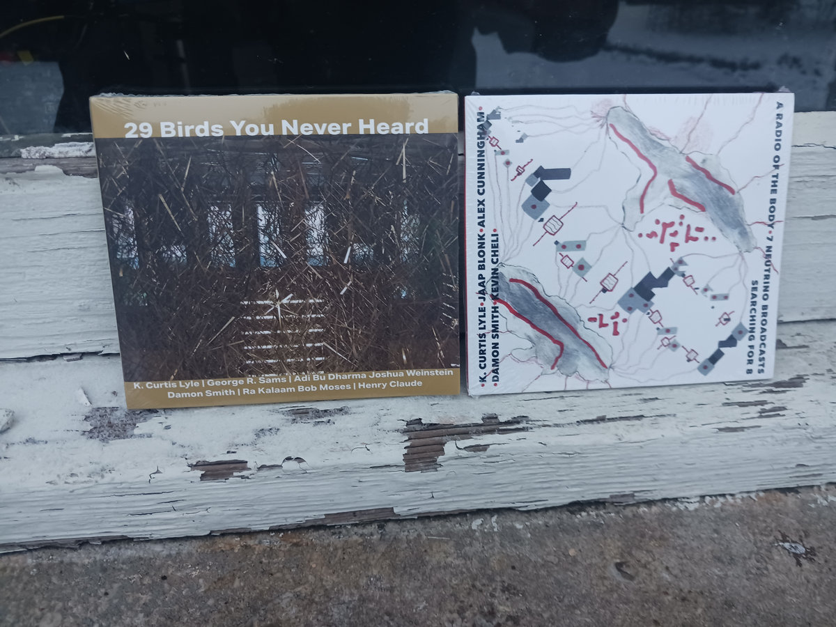 29 Birds You Never Heard | K. Curtis Lyle / George R. Sams