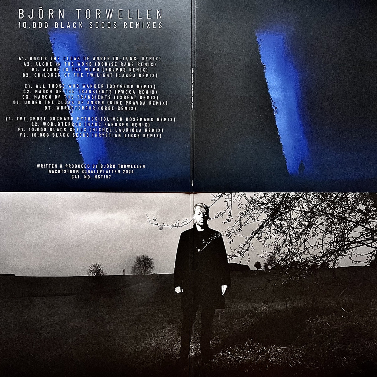 10.000 Black Seeds Remixes | Björn Torwellen | Nachtstrom