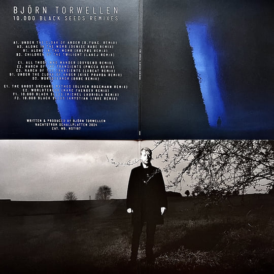 10.000 Black Seeds Remixes | Björn Torwellen | Nachtstrom