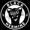 Black Hermine image