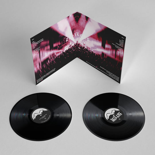20 Years of Blood Red Shoes: Live in Paris | Blood Red Shoes