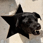 assataissafehere thumbnail