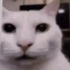 soaker thumbnail