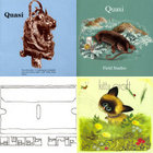 Field Studies | Quasi