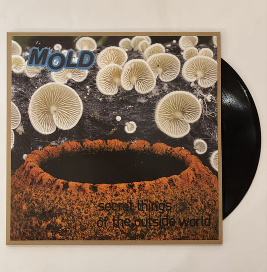 Secret Things Of The Outside World | Mold | SATATUHATTA