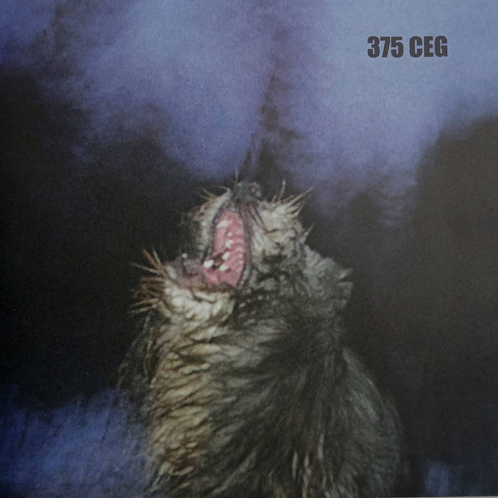 "BLAU" Single – 375 CEG limited edition 7" vinyl-300copies