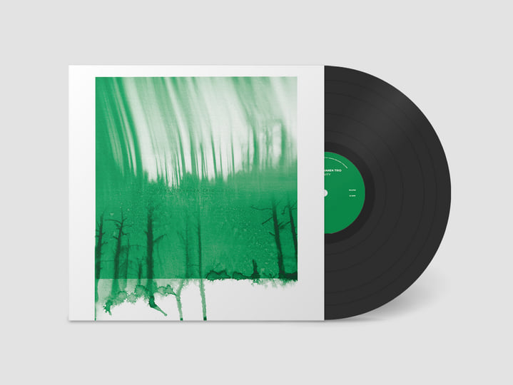 Gravity | Joona Toivanen Trio | We Jazz Records