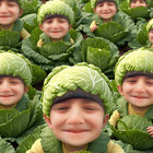 notmish thumbnail