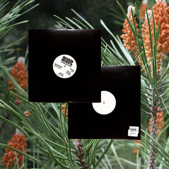 Wonk Donk (BP026) | Psychedelic Budz, Ciel & D.Tiffany