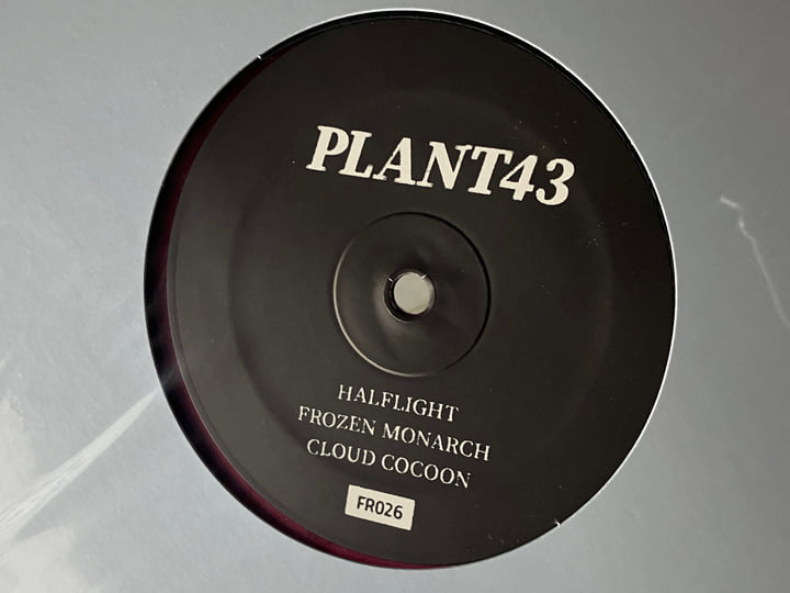 Frozen Monarch | Plant43 | Frustrated Funk